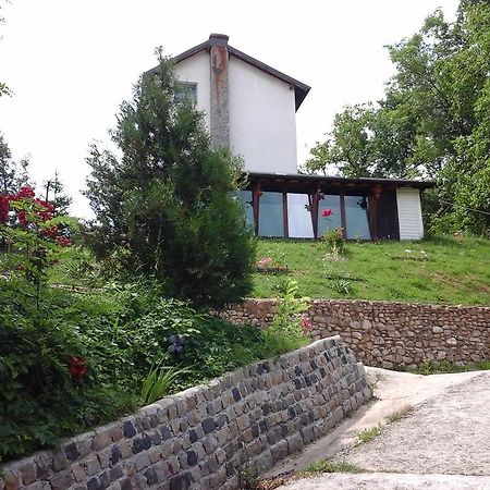 Вилла Casa Piscul Lupului Pucioasa Экстерьер фото