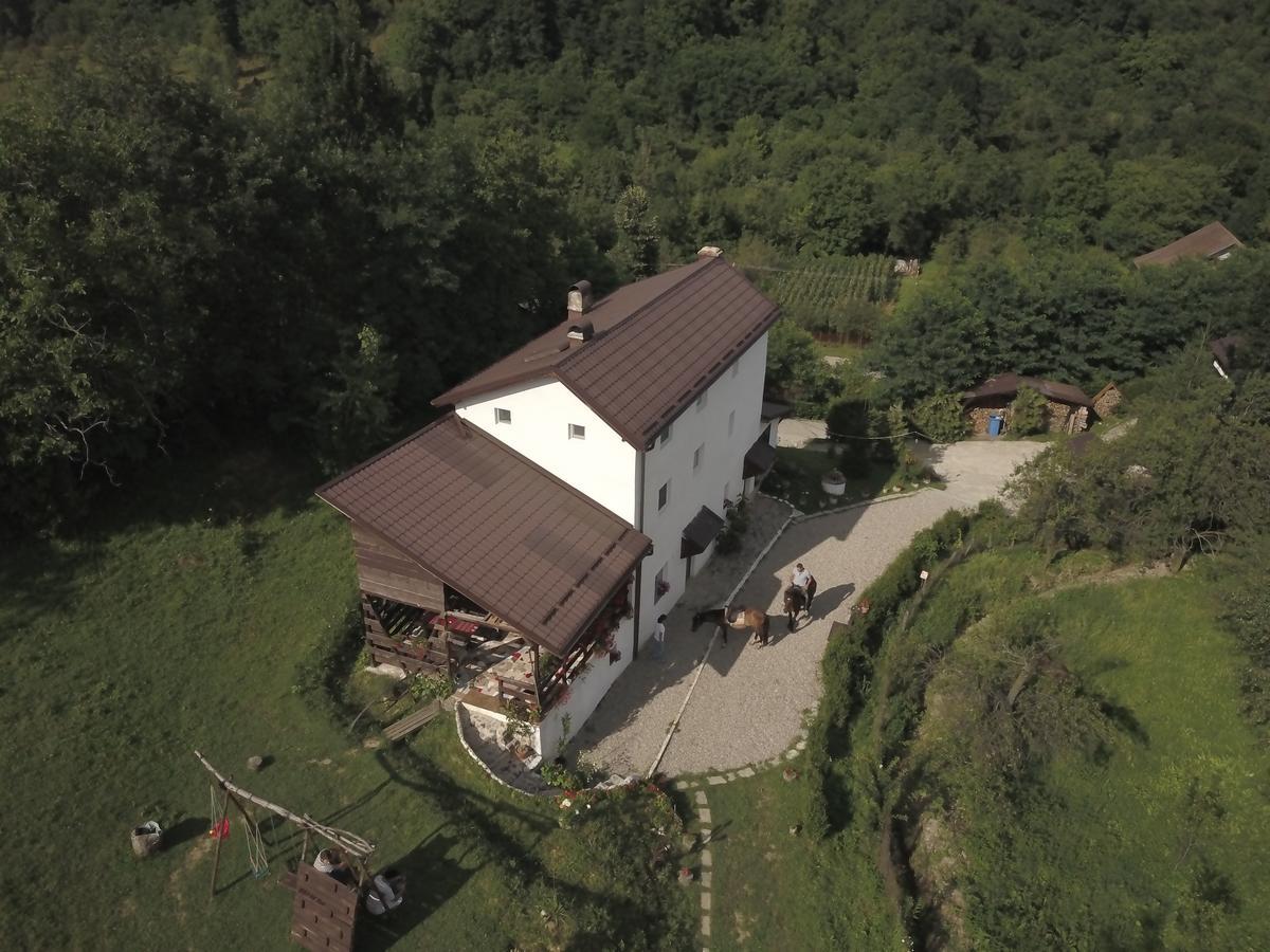 Вилла Casa Piscul Lupului Pucioasa Экстерьер фото